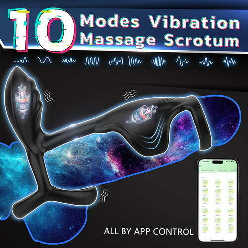 Tarzanee - Couple Use APP Control 10 Vibrating Male Silicone Penis Ring